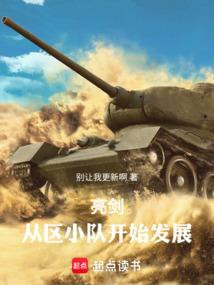 亮剑：从区小队开始发展免费阅读_亮剑：从区小队开始发展