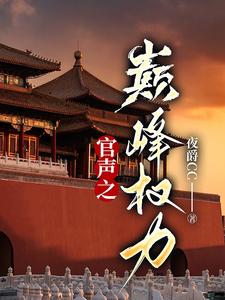 官声之巅峰权力免费阅读_官声之巅峰权力